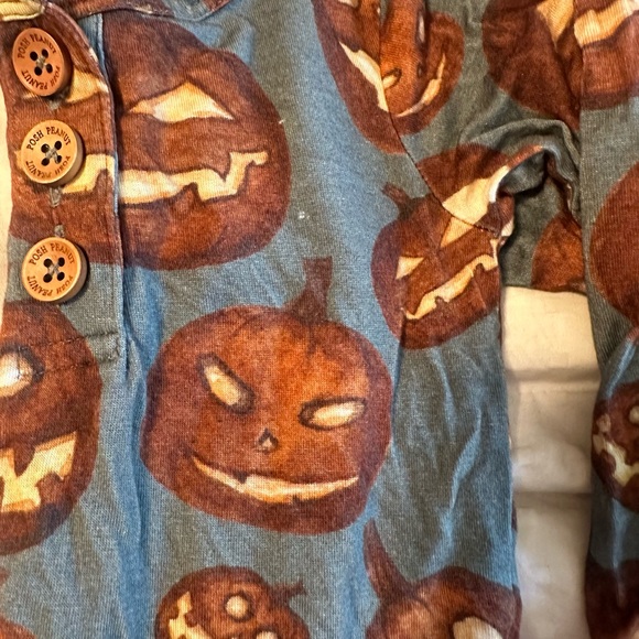 Posh Peanut pumpkin long sleeve twirl.  EUC 2T - Picture 6 of 6